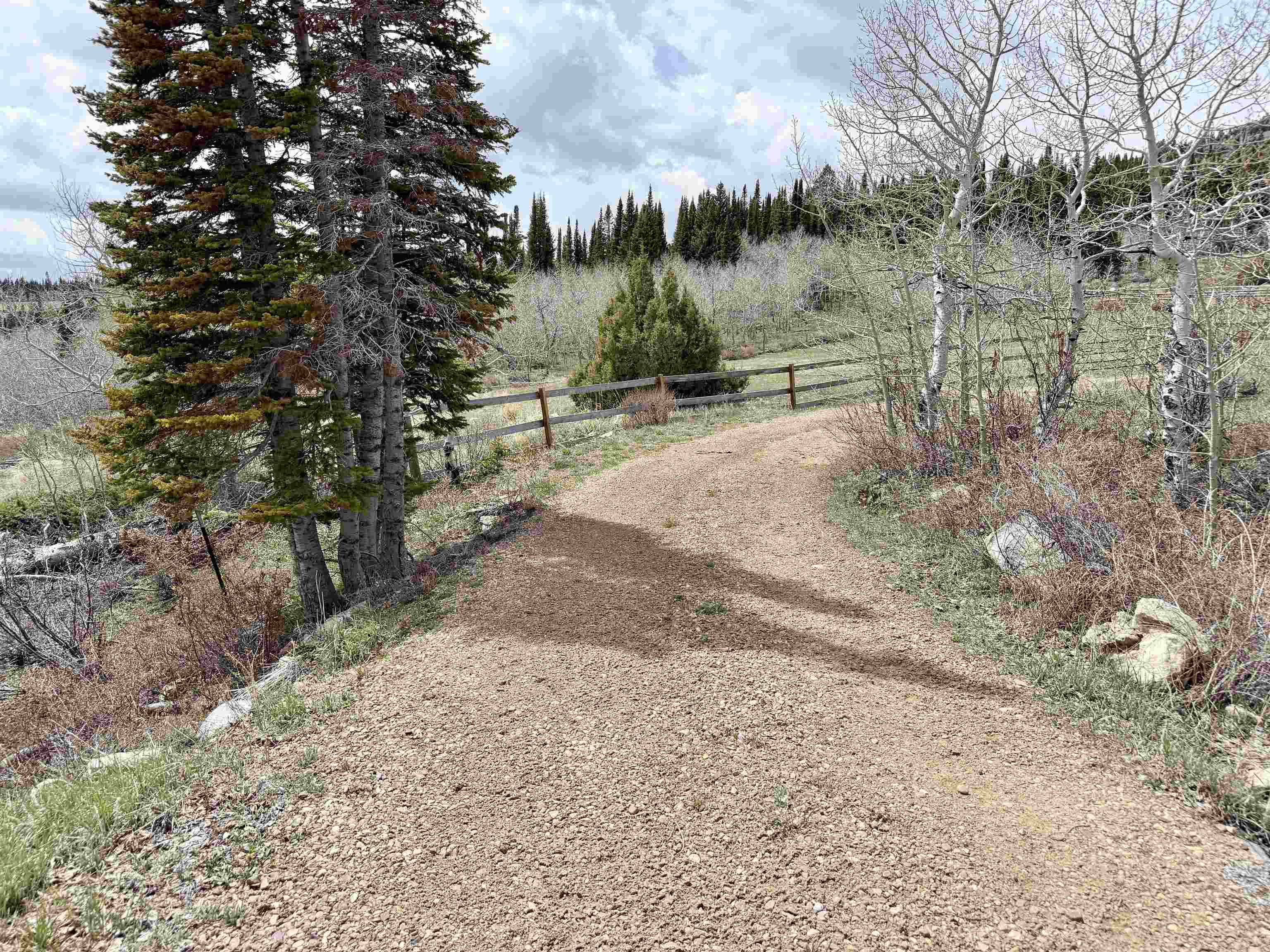 582 Porcupine Road Kemmerer, WY 83101 - Photo 27 of 49