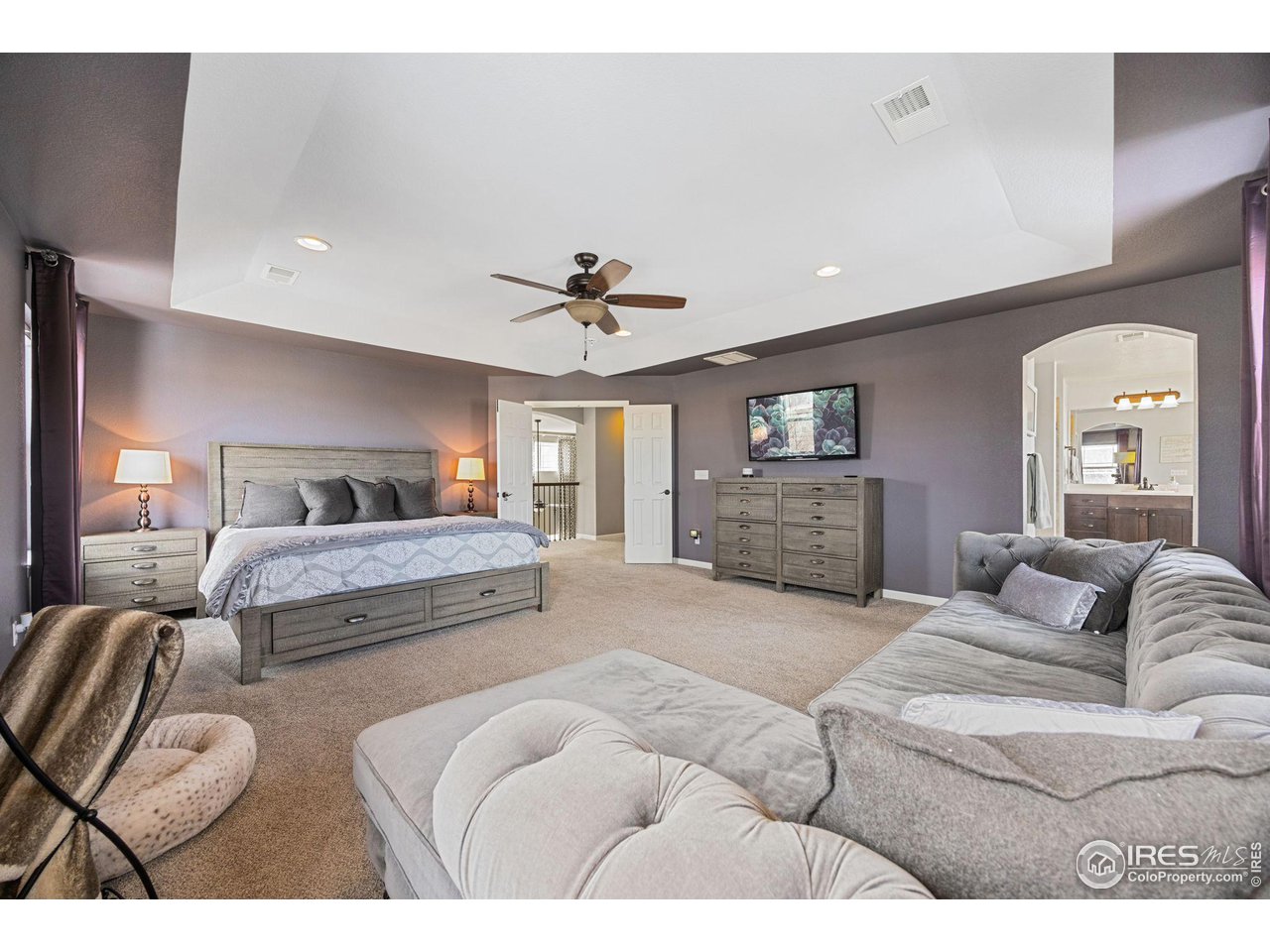 3183 Starry Night Loop Castle Rock, CO 80109 - Photo 17 of 40 a spacious bedroom with a bed window and couch