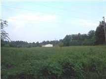 15005 Leitchfield Road Eastview, KY 42732 - Photo 5 of 20 Additional Photo