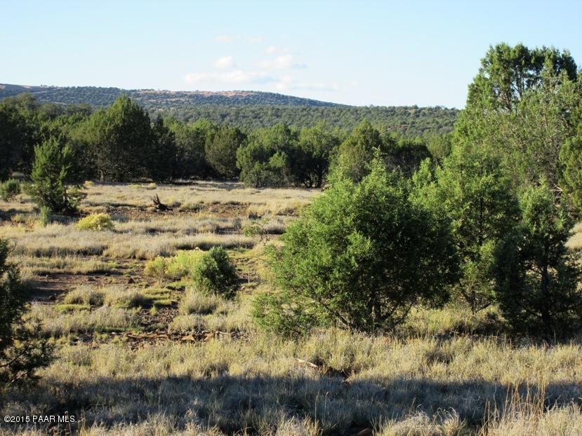 108 Mathis Road Ash Fork, AZ 86320 - Photo 11 of 12 IMG_0629