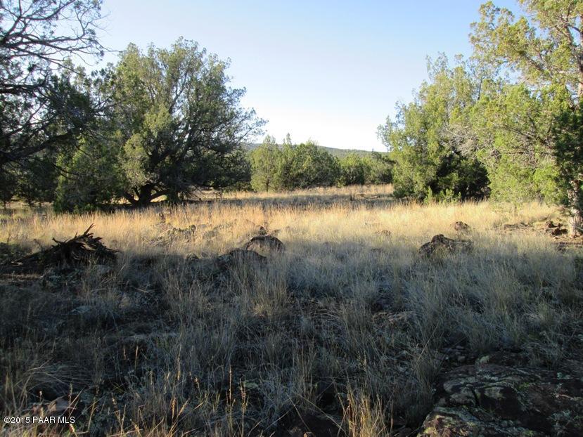 108 Mathis Road Ash Fork, AZ 86320 - Photo 8 of 12 IMG_0626