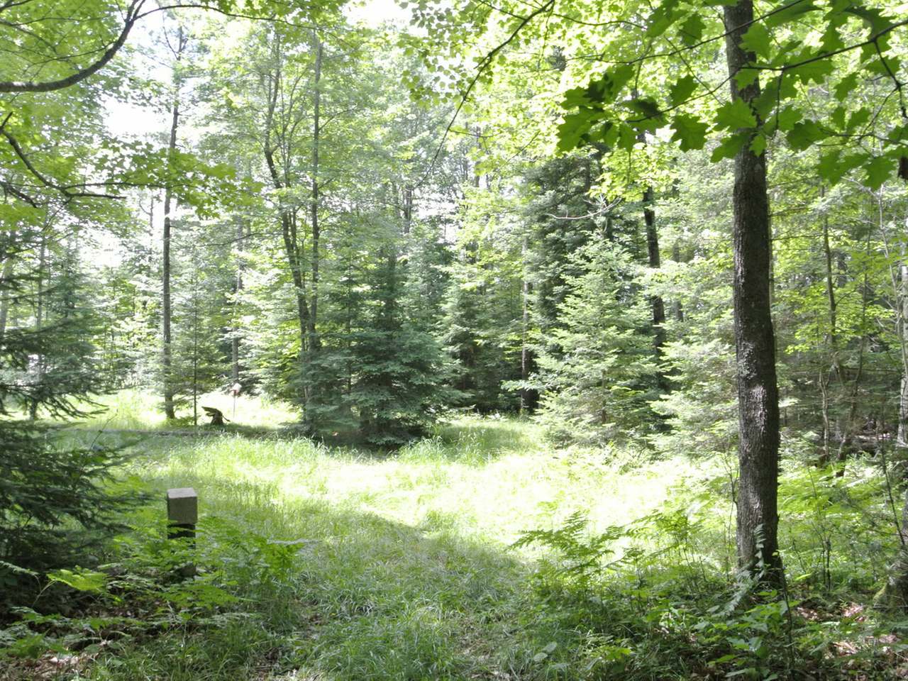 On Breezy Pine Road Rhinelander, WI 54501 - Photo 5 of 12 Gallery Image 5