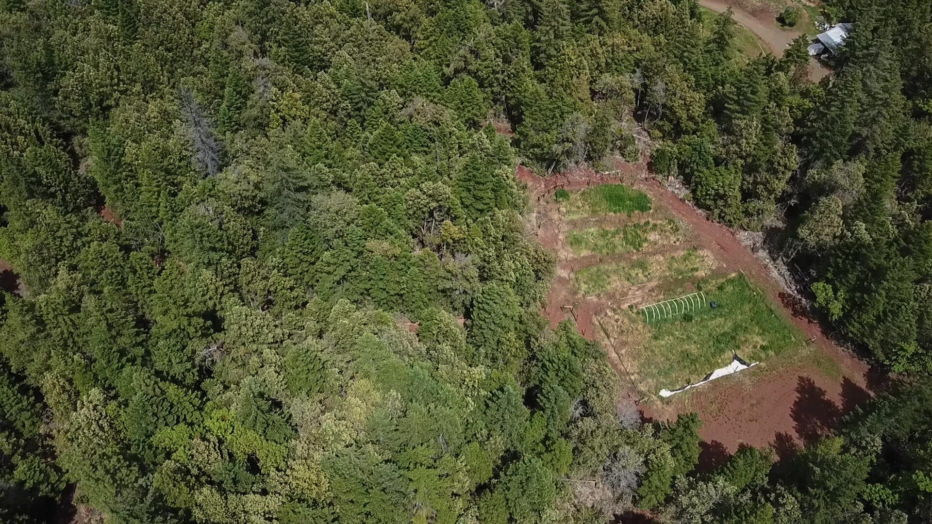 45 Acres M&w Ranch Road Willow Creek, CA 95573 - Photo 57 of 58 D (53)