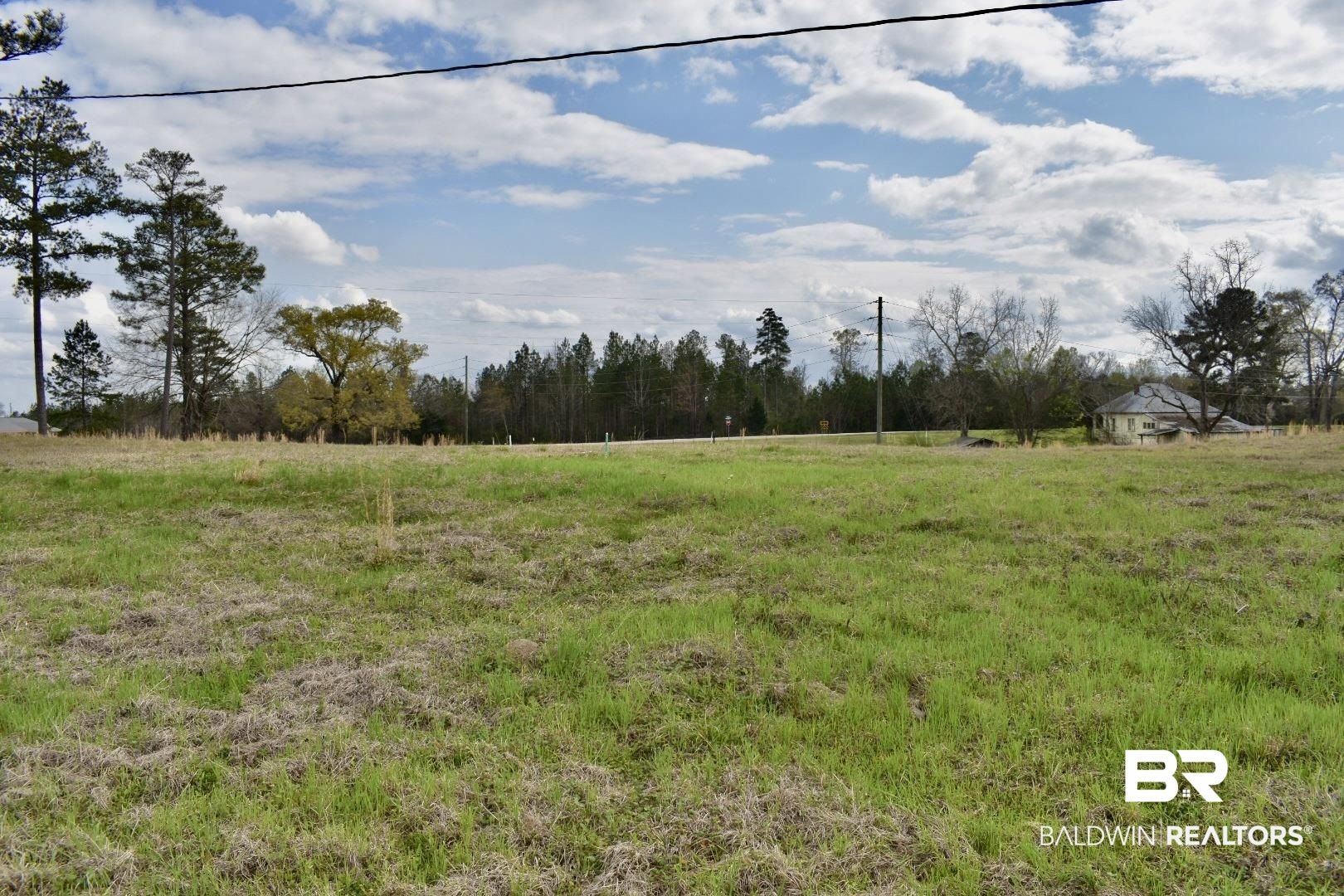 14320 Nicholsville Road Thomasville, AL 36784 - Photo 3 of 14