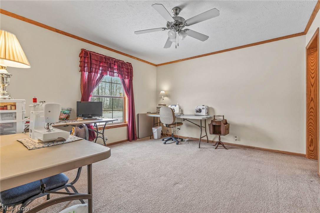 4459 Stollacker Road Jefferson, OH 44047 - Photo 16 of 35 Gallery Image 16