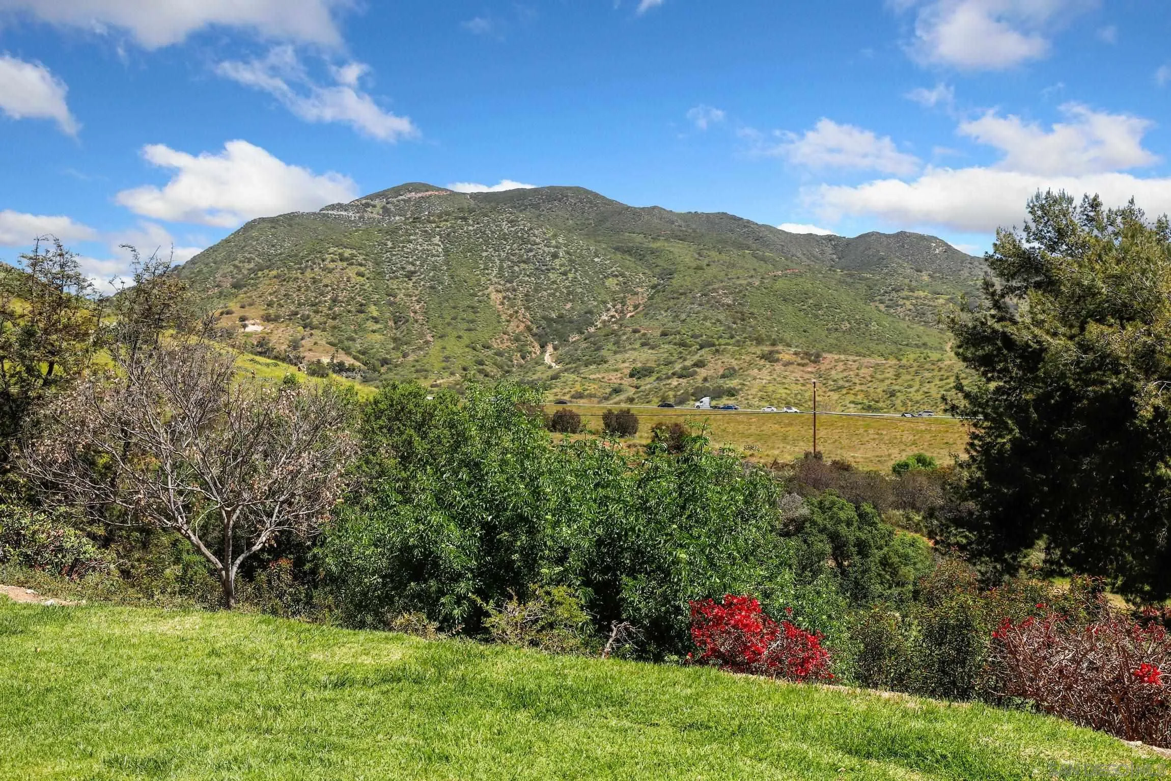 1666 Pala Lake Drive Fallbrook, CA 92028 - Photo 20 of 24 a view of a field with a mountain in the background