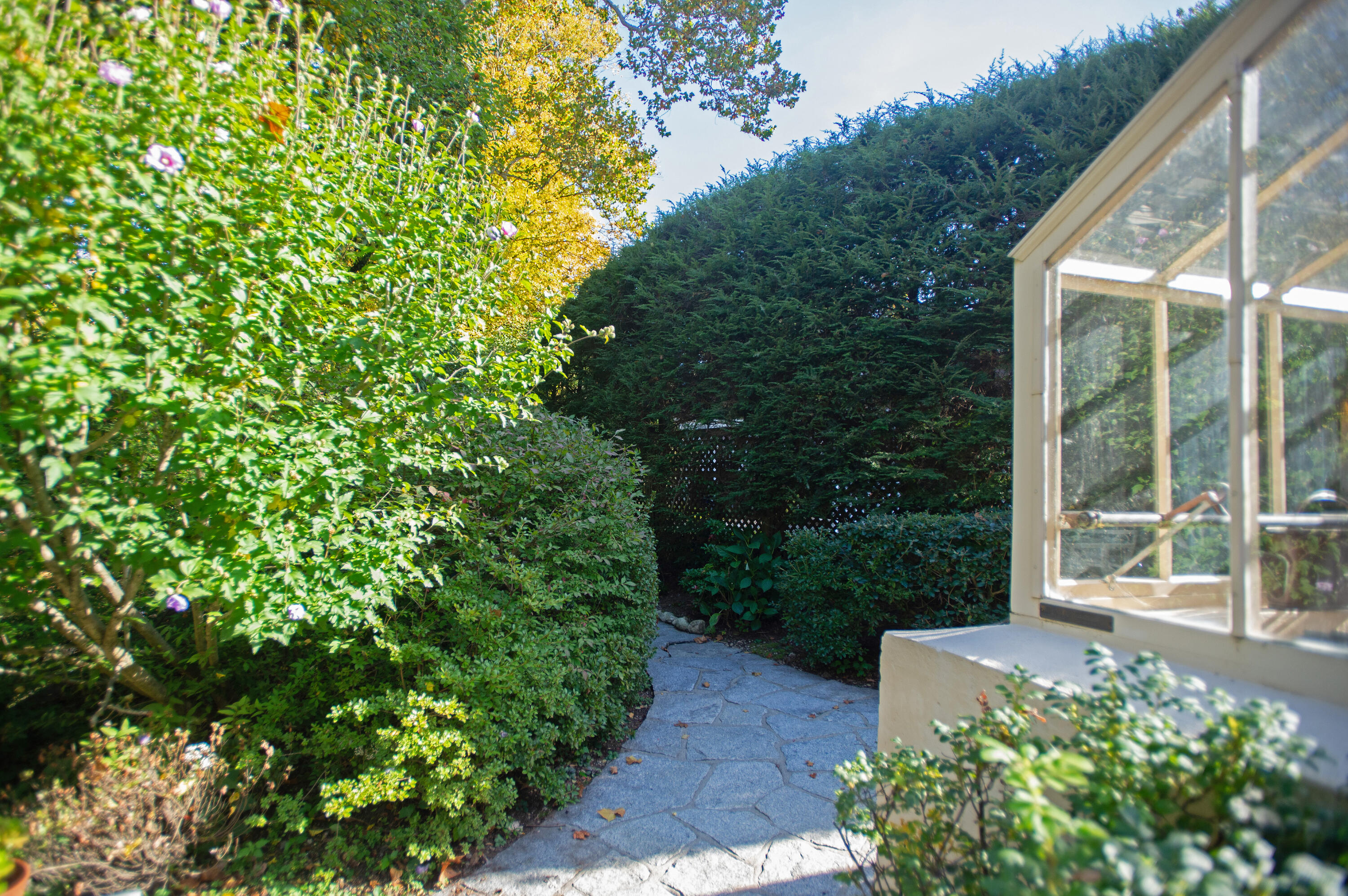 187 Perry Avenue Norwalk, CT 06850 - Photo 25 of 28 a view of a garden with plants