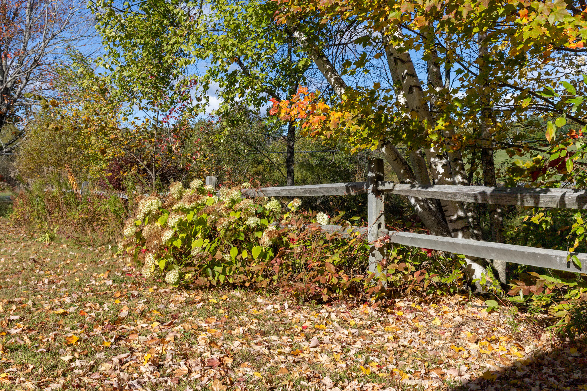 1247 Pushaw Road Glenburn, ME 04401 - Photo 54 of 70 20251009-_MG_8969-HDR