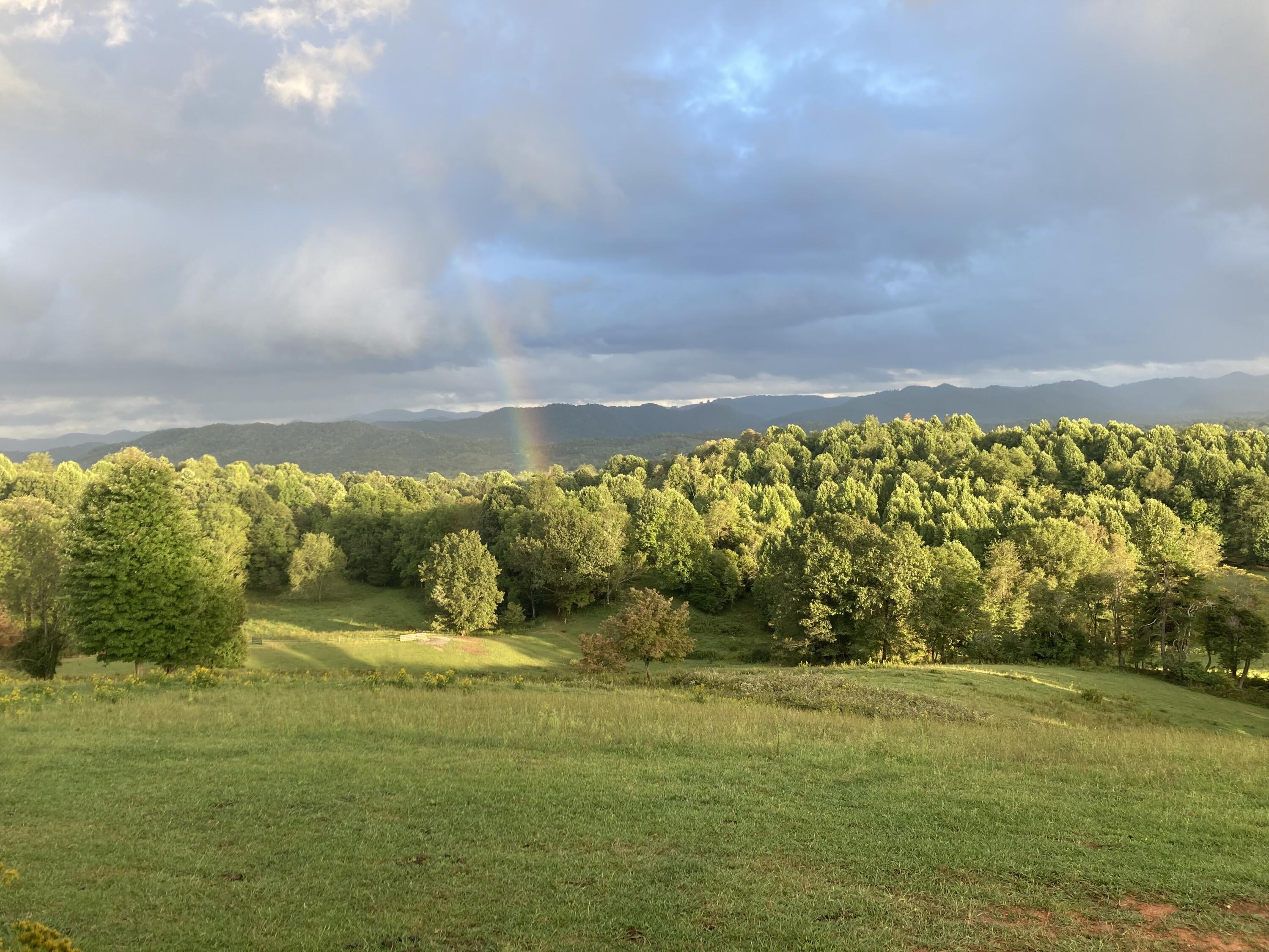 1504 Cox Chapel Road Duffield, VA 24244 - Photo 49 of 58 Rainbow