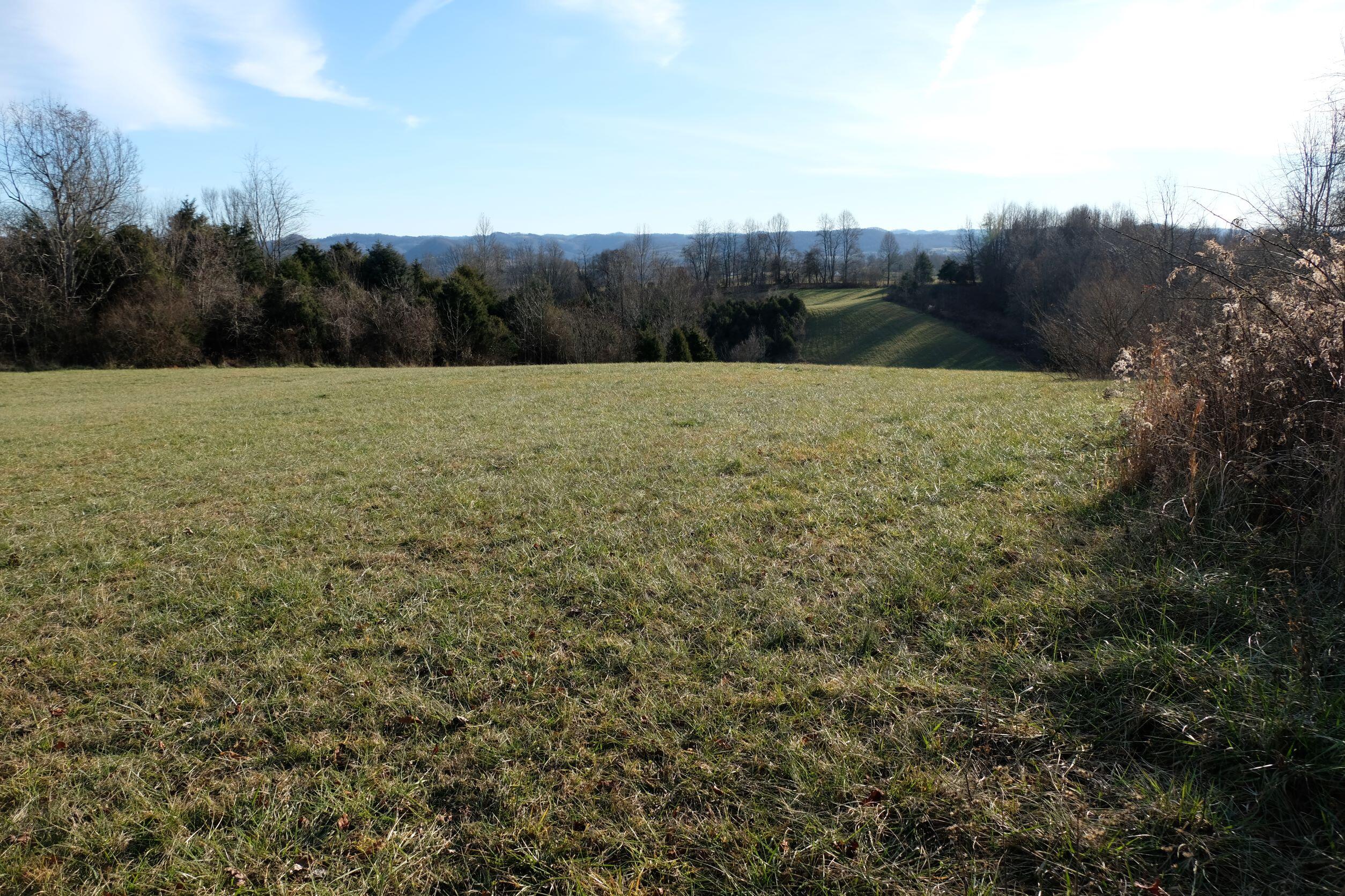 1504 Cox Chapel Road Duffield, VA 24244 - Photo 50 of 58 21 South View Hayfield one