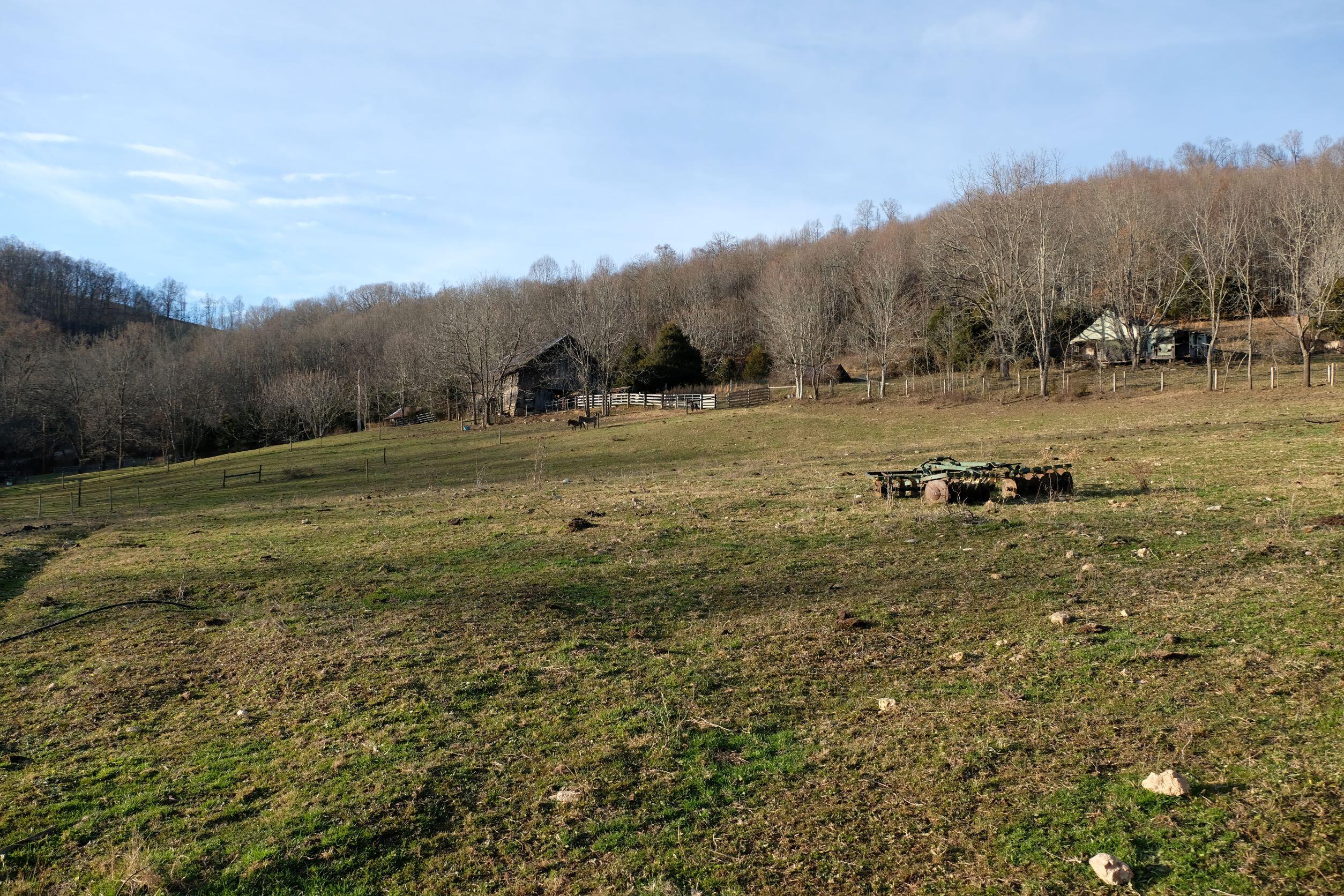 1504 Cox Chapel Road Duffield, VA 24244 - Photo 54 of 58 28 Organic veggie field