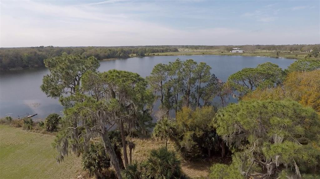 3412 Lake Diane Road Tavares, FL 32778 - Photo 4 of 16