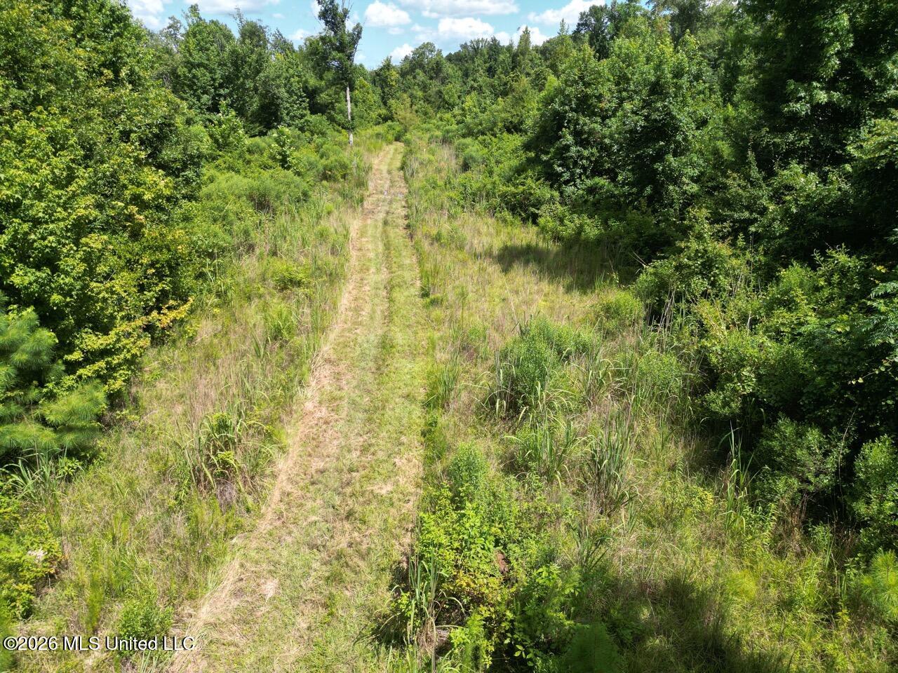 Pam Road Aimwell, LA 71401 - Photo 9 of 38 DJI_0447 Large