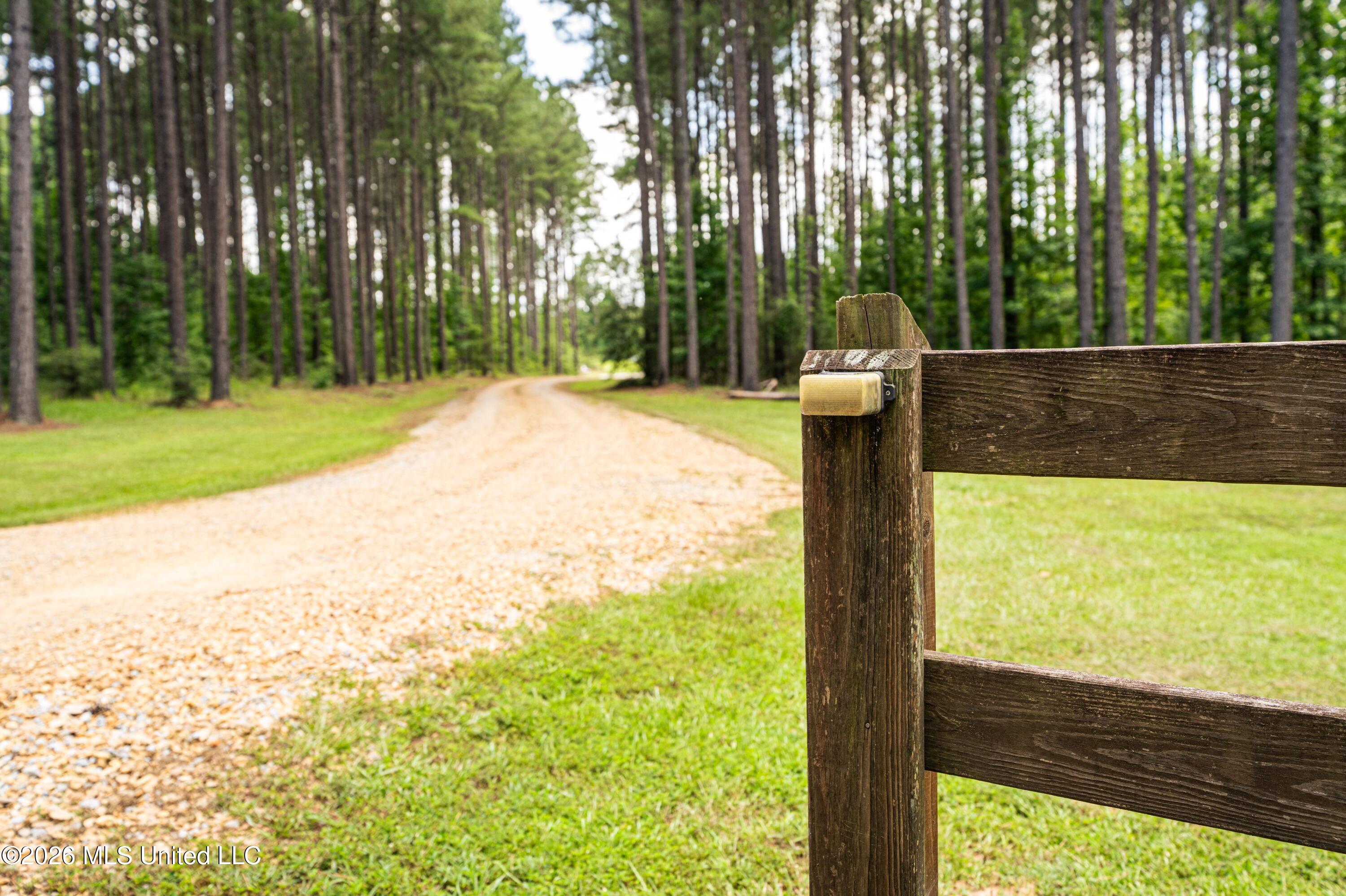 6929 Moak Road Summit, MS 39666 - Photo 51 of 52 DSC00286