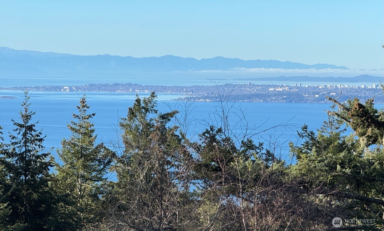 30 Rascal Road Friday Harbor, WA 98250 - Photo 10 of 20