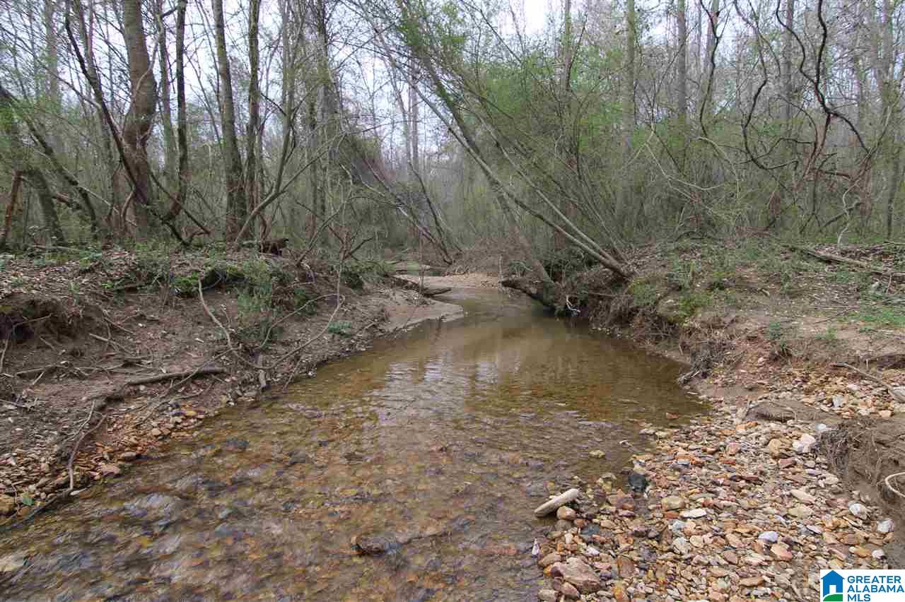 500 Lil Beaver Road, Unit 260 AC Daviston, AL 36256 - Photo 16 of 20