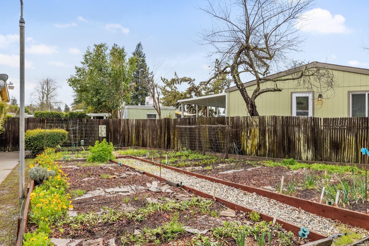 259 Hermosa Circle Santa Rosa, CA 95409 - Photo 41 of 50 Community garden at clubhouse.