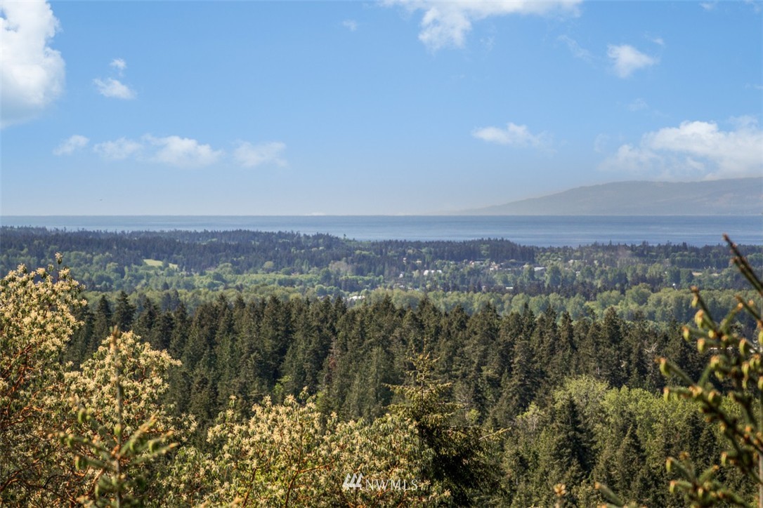 1702 Doe Run Road Sequim, WA 98382 - Photo 24 of 25