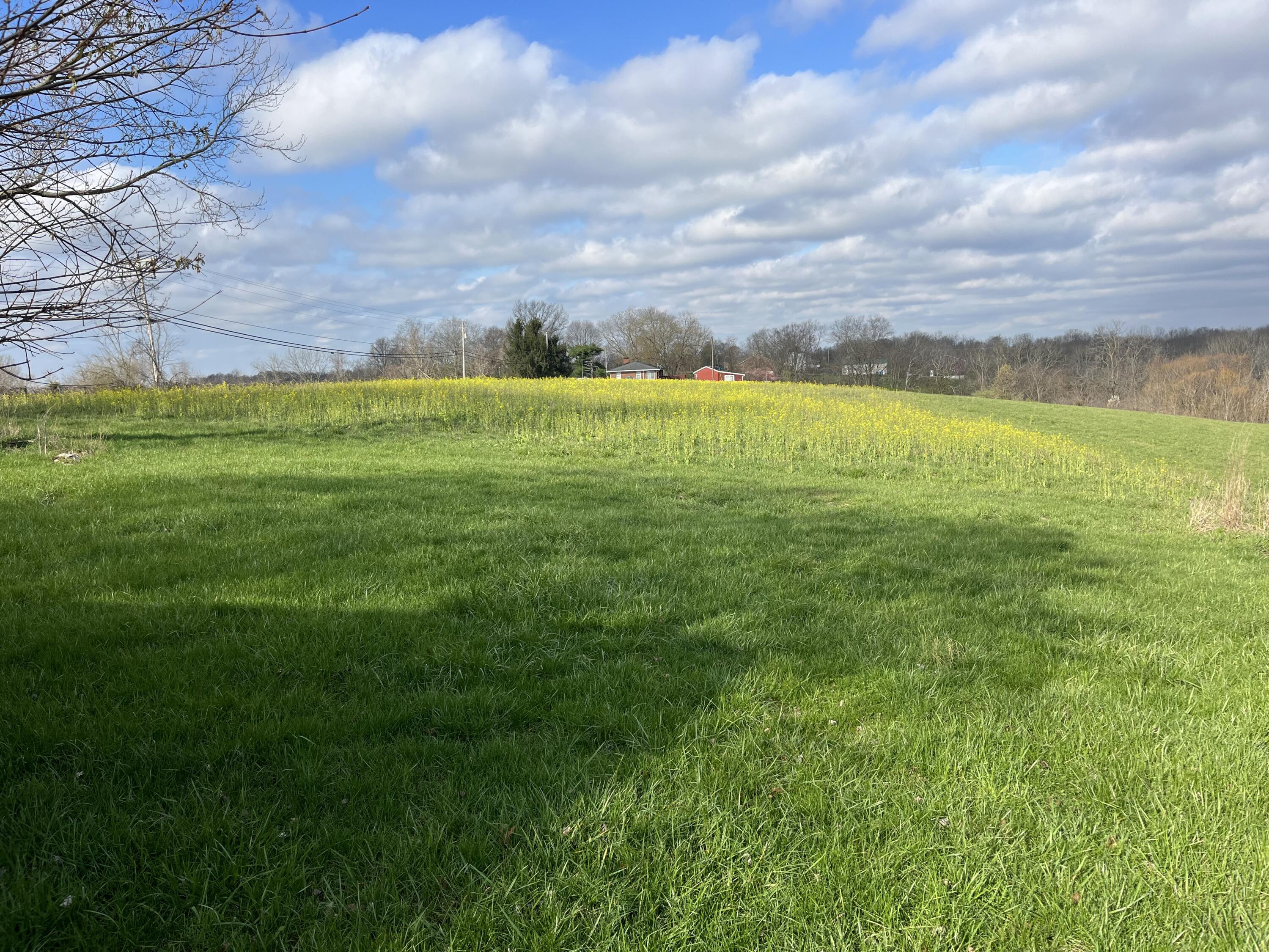 1305 Warsaw Road Dry Ridge, KY 41035 - Photo 1 of 6
