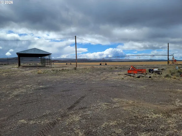 a view of a dry yard