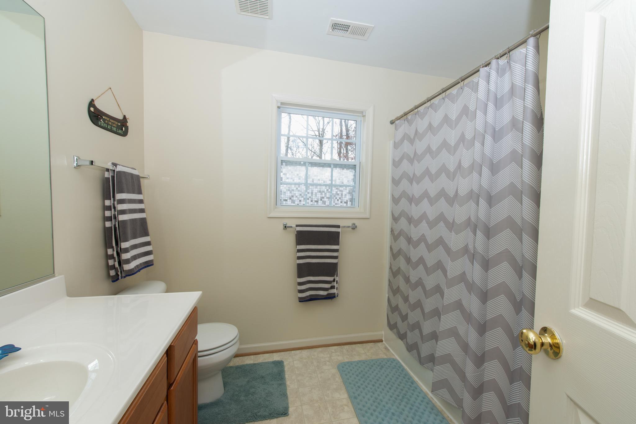 976 Mitchell Point Road Mineral, VA 23117 - Photo 26 of 35 Hall Full Bath