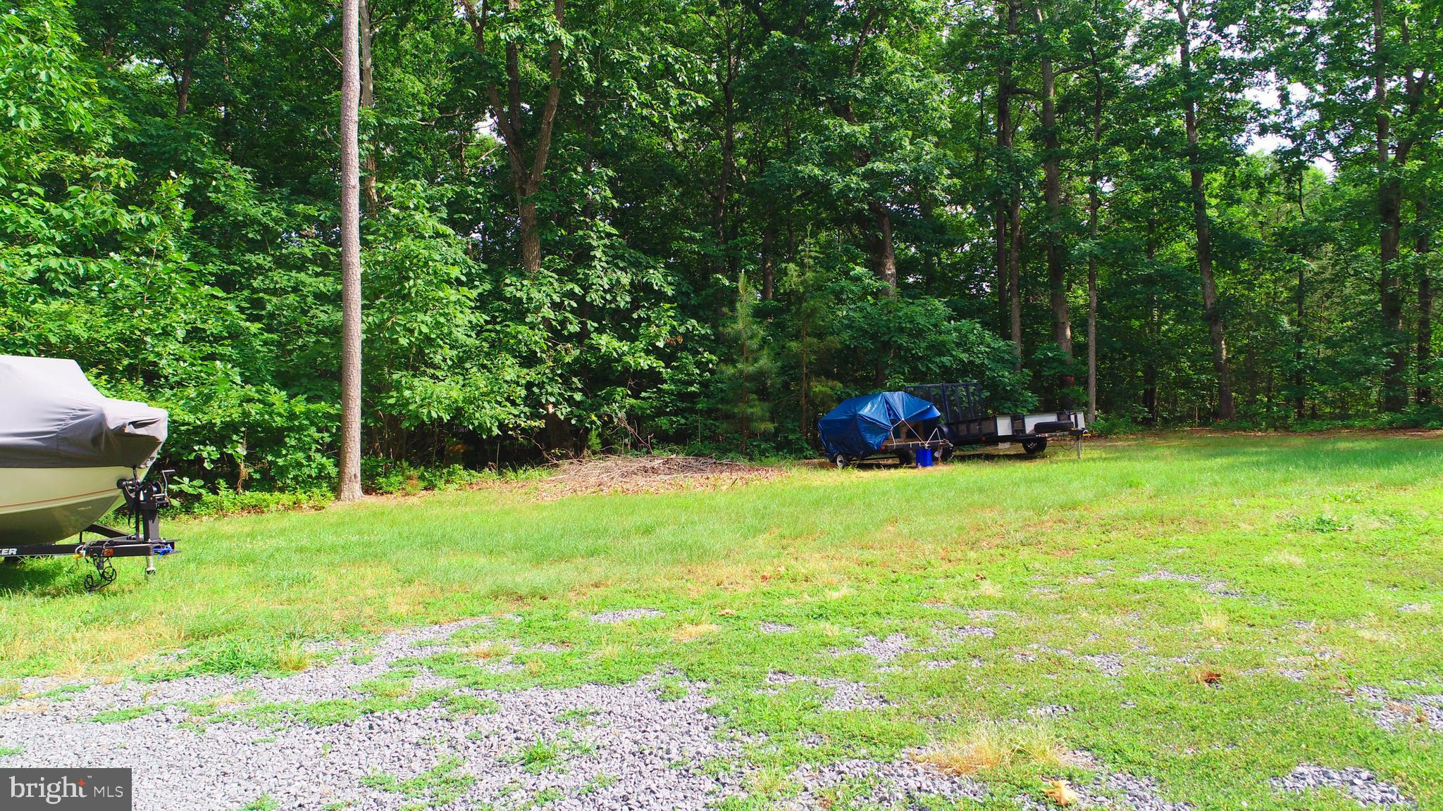 976 Mitchell Point Road Mineral, VA 23117 - Photo 9 of 35 Large side yard