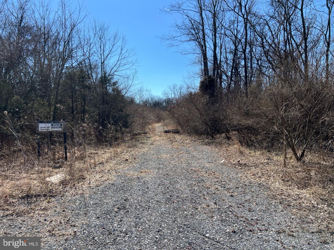 2112 Grade Road Falling Waters, WV 25419 - Photo 25 of 35 View of site looking North near center
