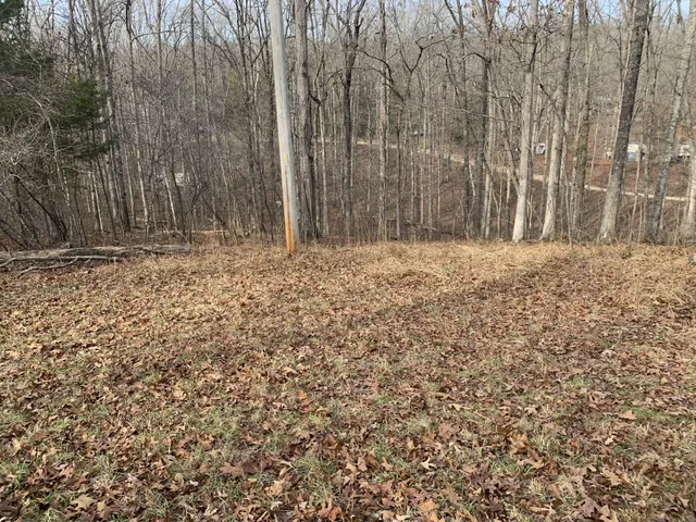 $4,900 | 0 Oak Court, Nunnelly, TN 37137