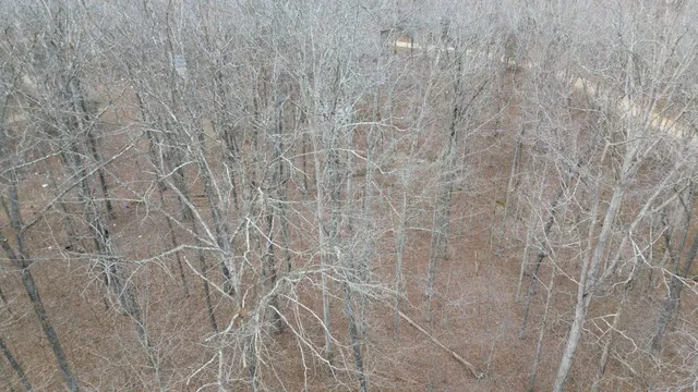 $4,900 | 0 Oak Court, Nunnelly, TN 37137