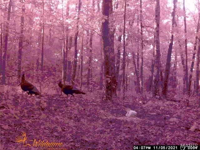 $387,000 | 0 Hwy 42 Belle Mo 65013, Belle, MO 65013