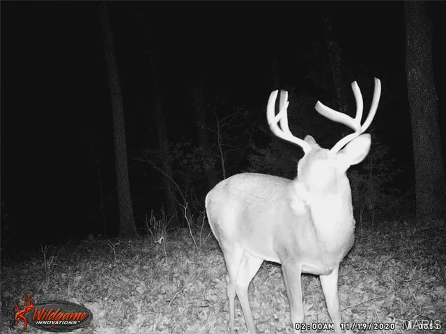 $387,000 | 0 Hwy 42 Belle Mo 65013, Belle, MO 65013