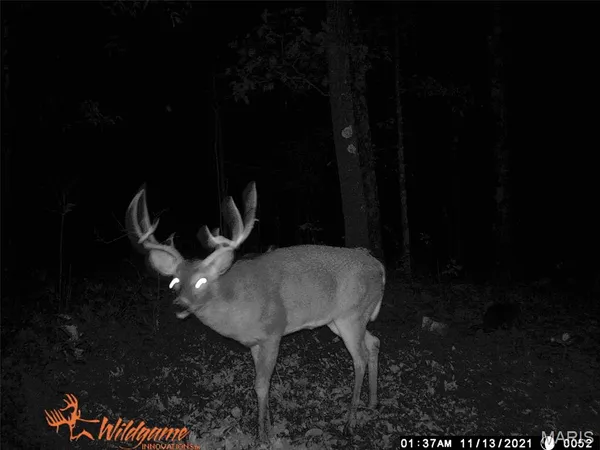 $387,000 | 0 Hwy 42 Belle Mo 65013, Belle, MO 65013