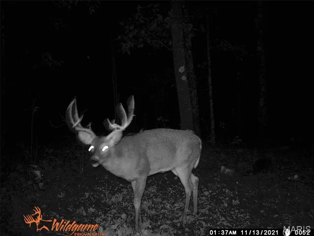 $387,000 | 0 Hwy 42 Belle Mo 65013, Belle, MO 65013