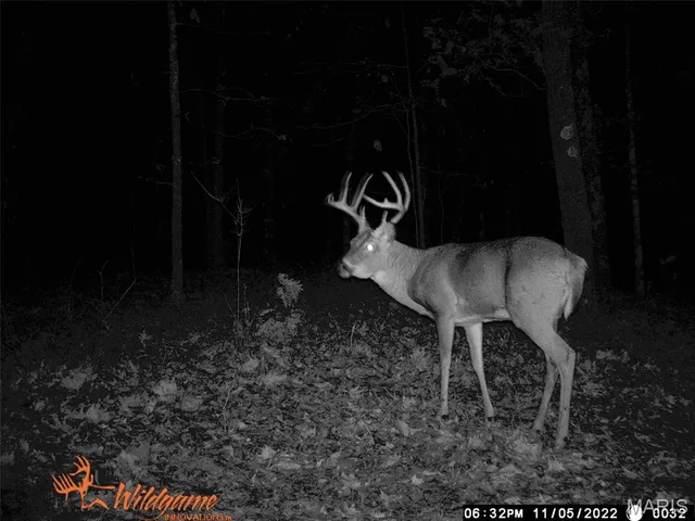 $387,000 | 0 Hwy 42 Belle Mo 65013, Belle, MO 65013