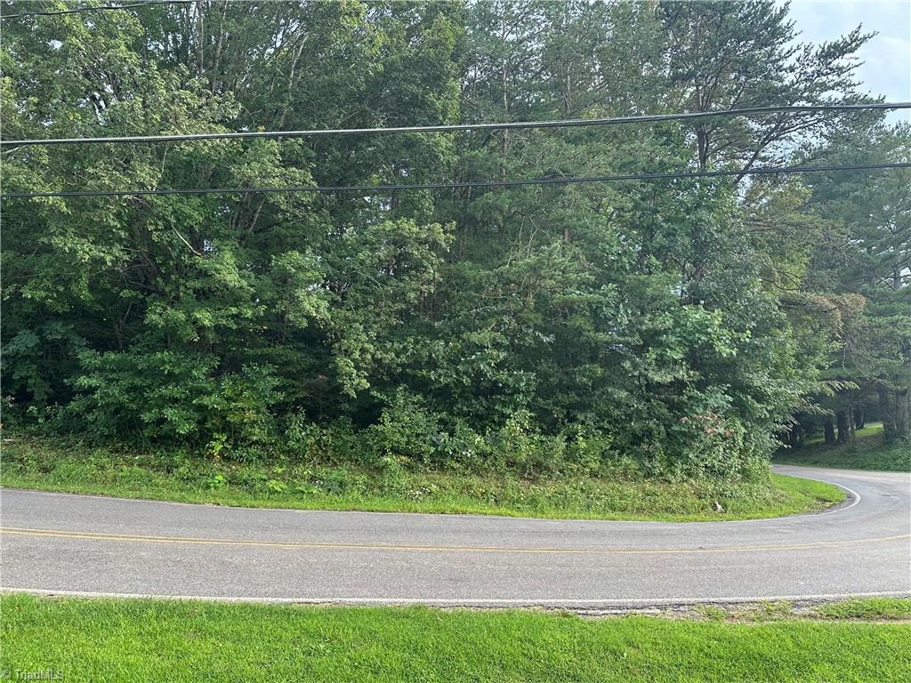 0 Paynetown Road Mount Airy, NC 27030 - Photo 2 of 4