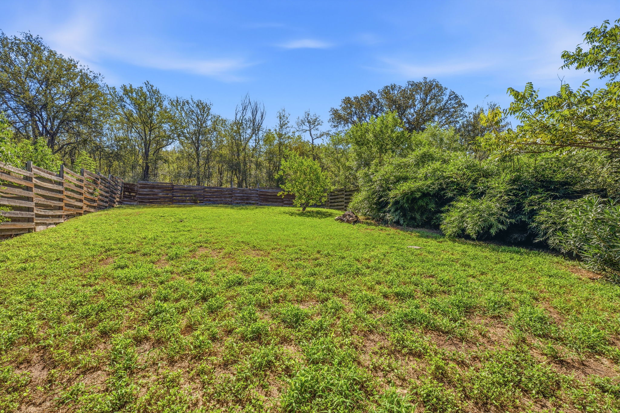 1305 Cometa Street Austin, TX 78721 - Photo 23 of 28 A spacious, verdant yard enclosed by a rustic wooden fence, offering ample room for outdoor activities.