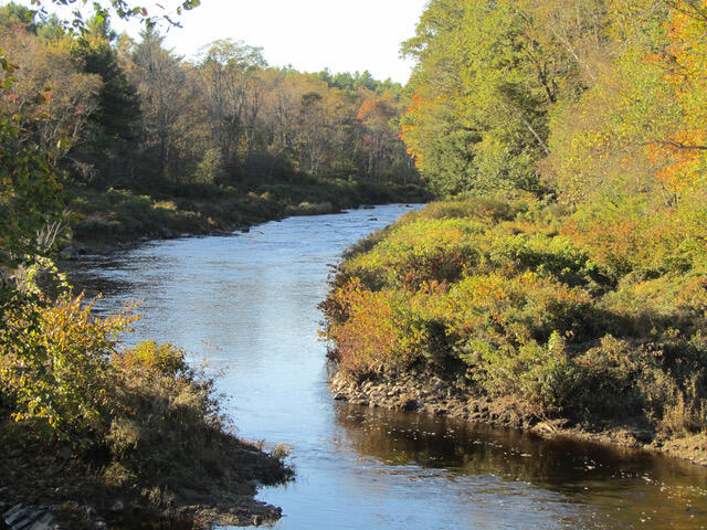Lot 35 Head Tide Road Alna, ME 04535 - Photo 38 of 39 October 2013 - 001