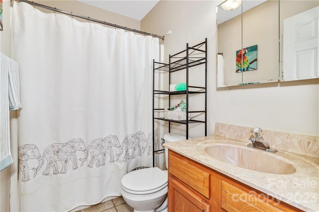 11 Krista Circle, Unit E Candler, NC 28715 - Photo 21 of 25 a bathroom with a granite countertop sink a toilet and a shower curtain