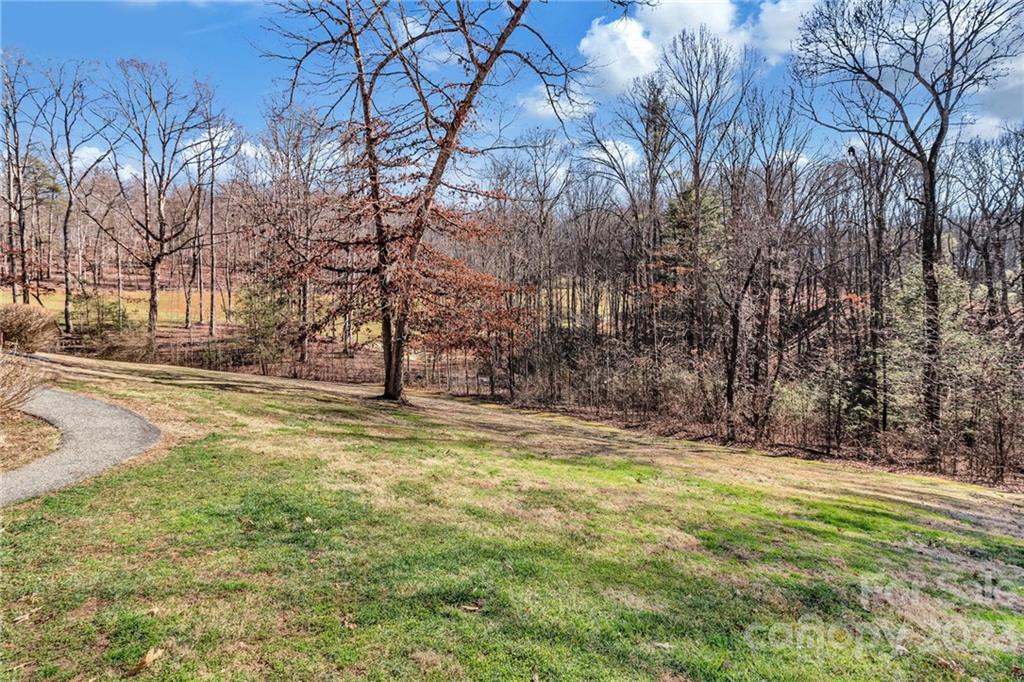 11 Krista Circle, Unit E Candler, NC 28715 - Photo 25 of 25 a view of yard with trees
