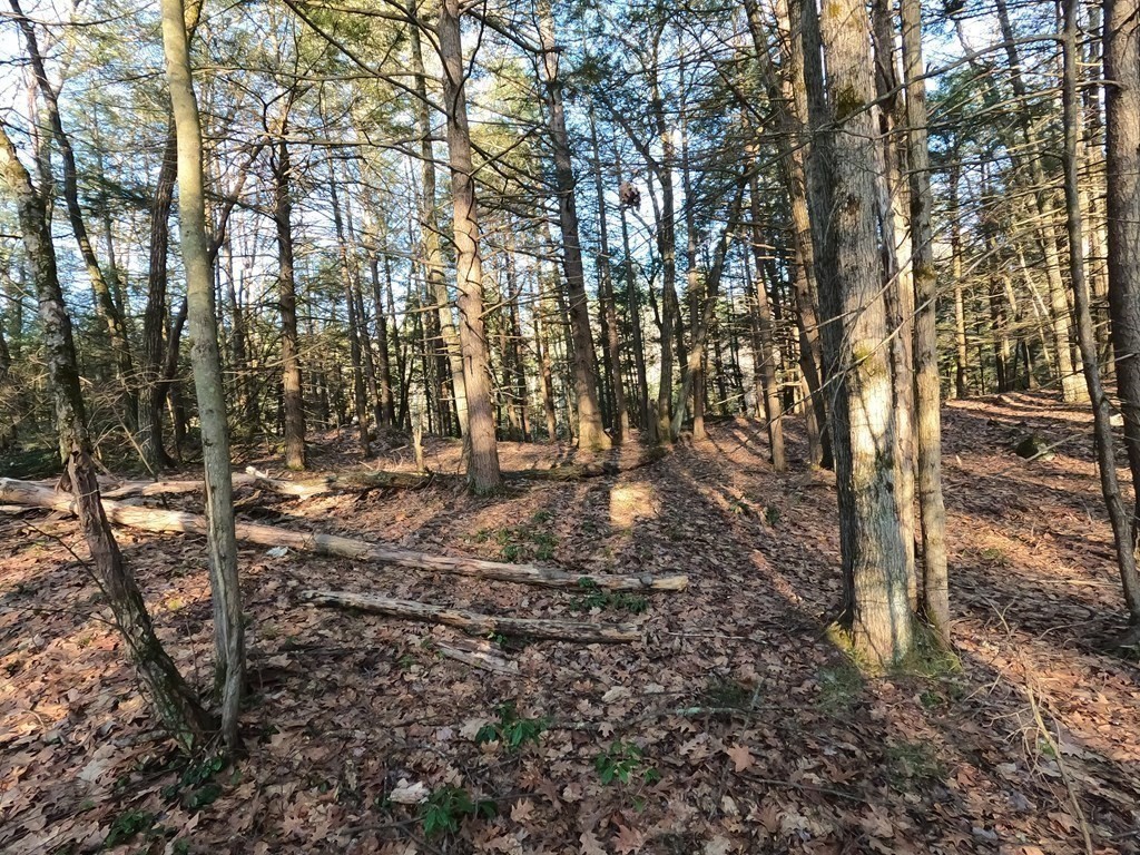 0 Barre Road Phillipston, MA 01331 - Photo 7 of 9 Gallery Image 7