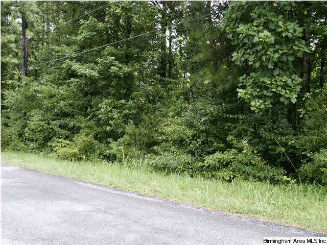 0 Reid Road, Unit 2 LOTS Oneonta, AL 35121 - Photo 6 of 9 Gallery Image 6