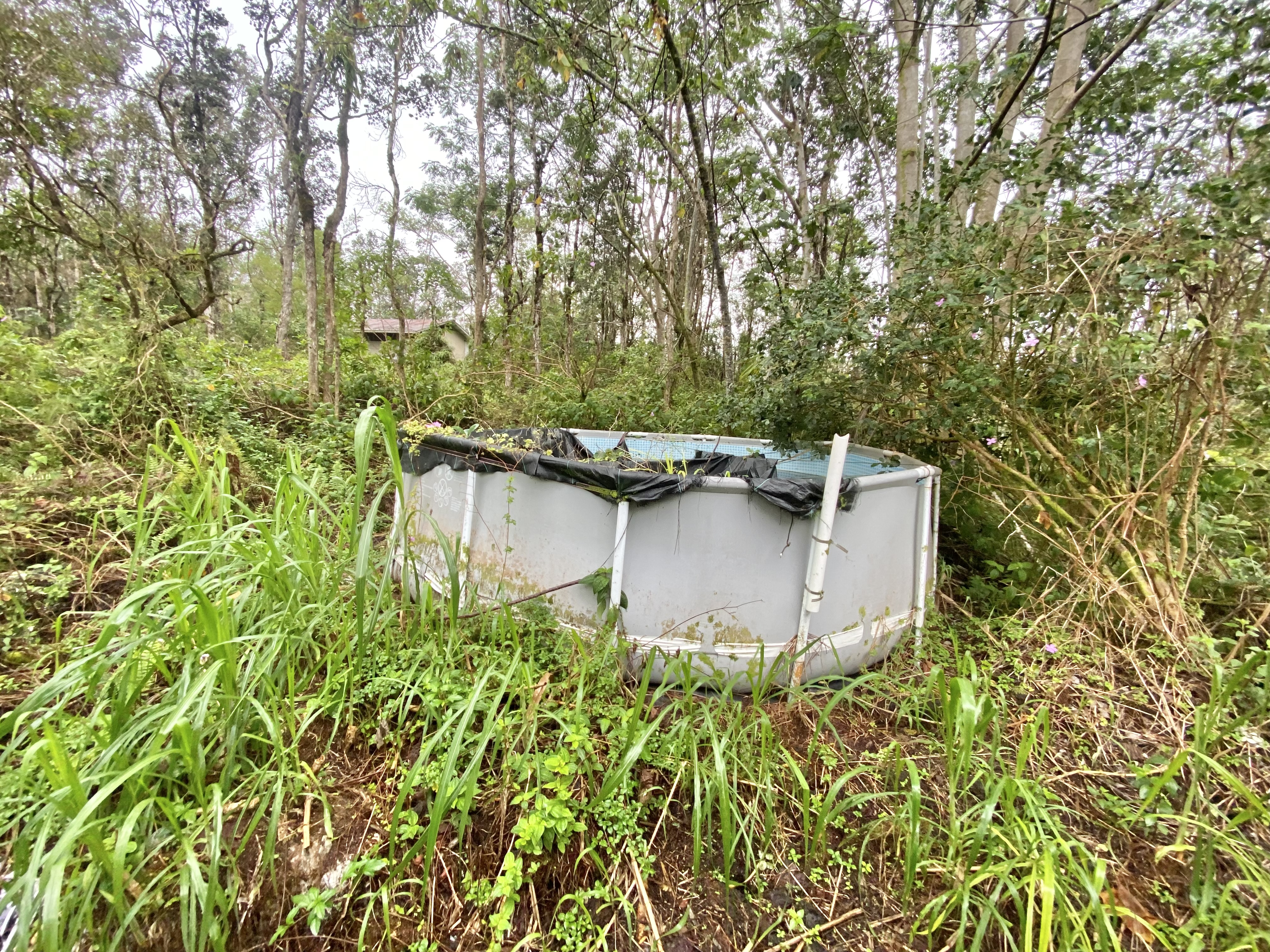 417 Aloha Road Pahoa, HI 96778 - Photo 15 of 16