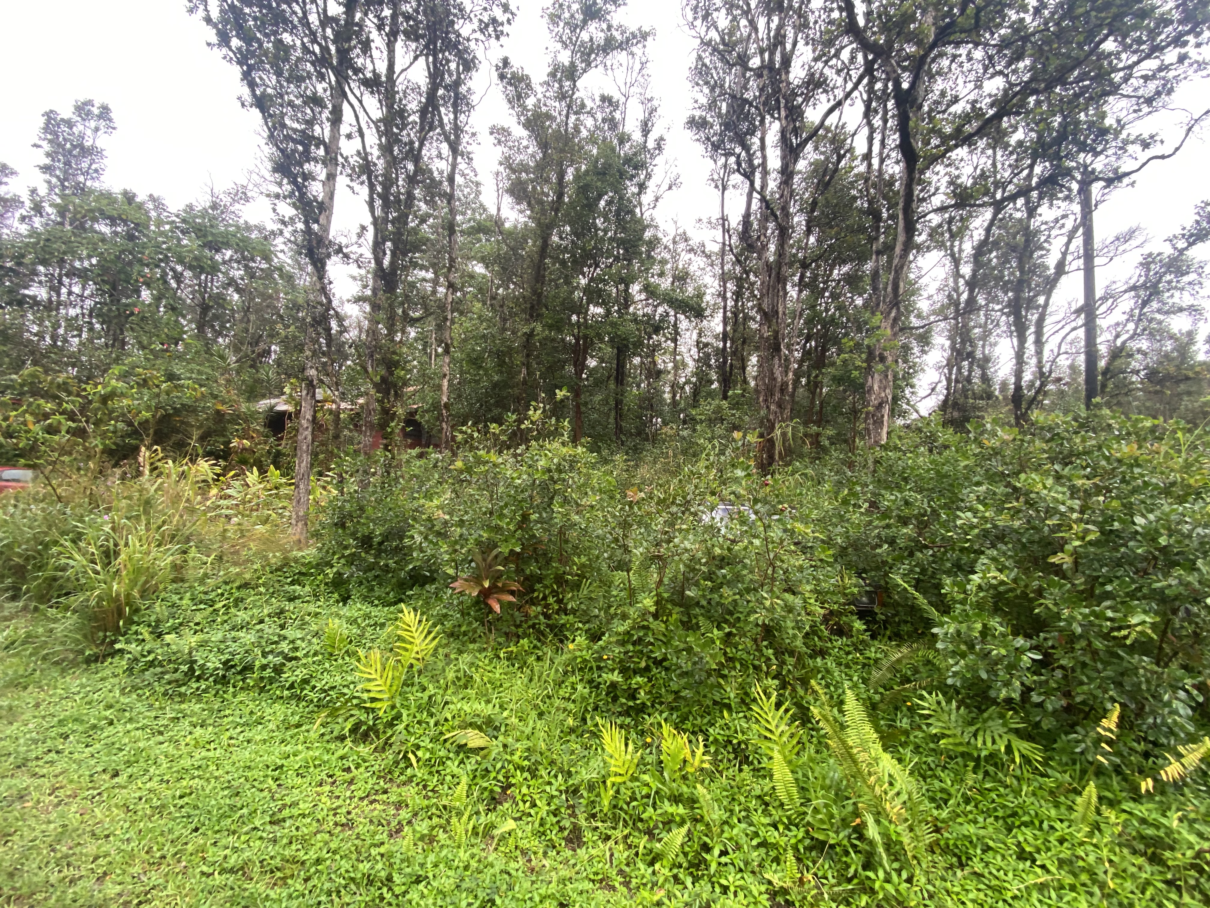 417 Aloha Road Pahoa, HI 96778 - Photo 4 of 16