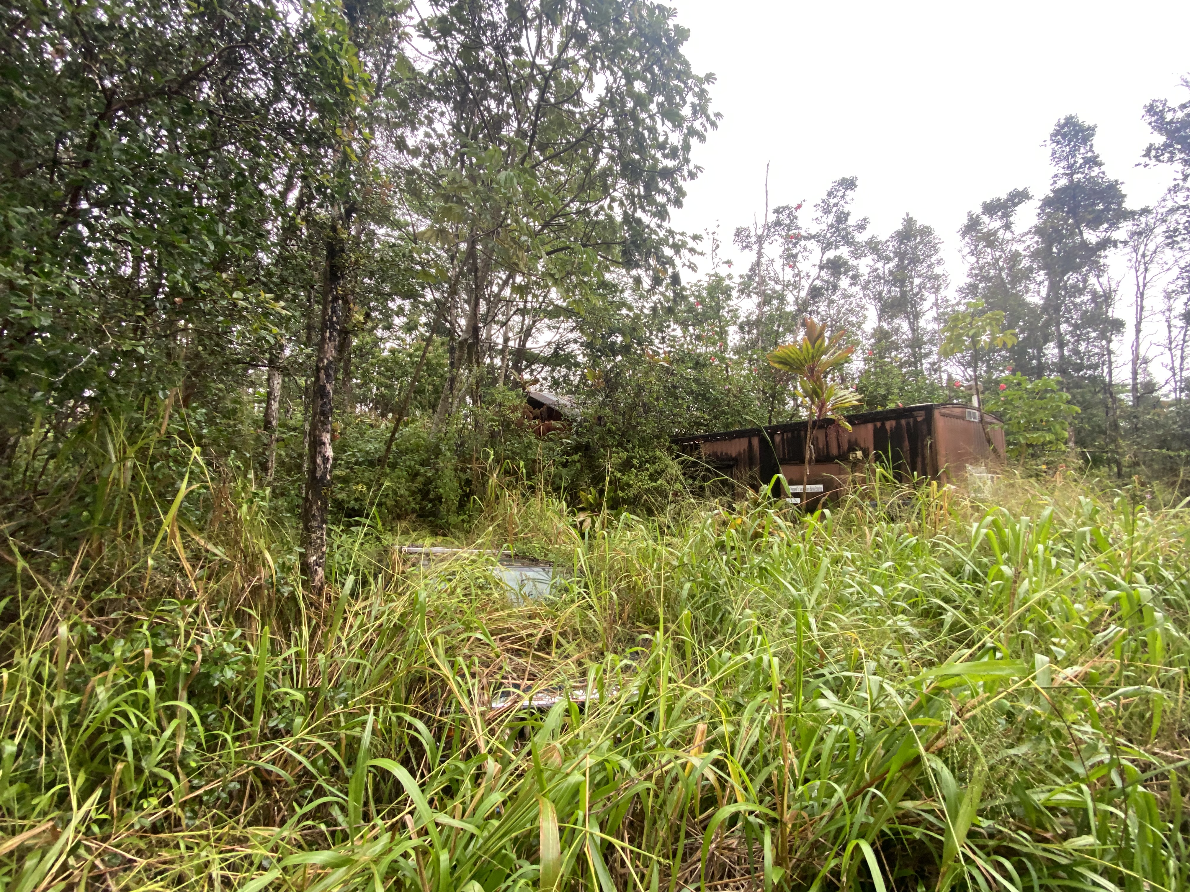 417 Aloha Road Pahoa, HI 96778 - Photo 5 of 16