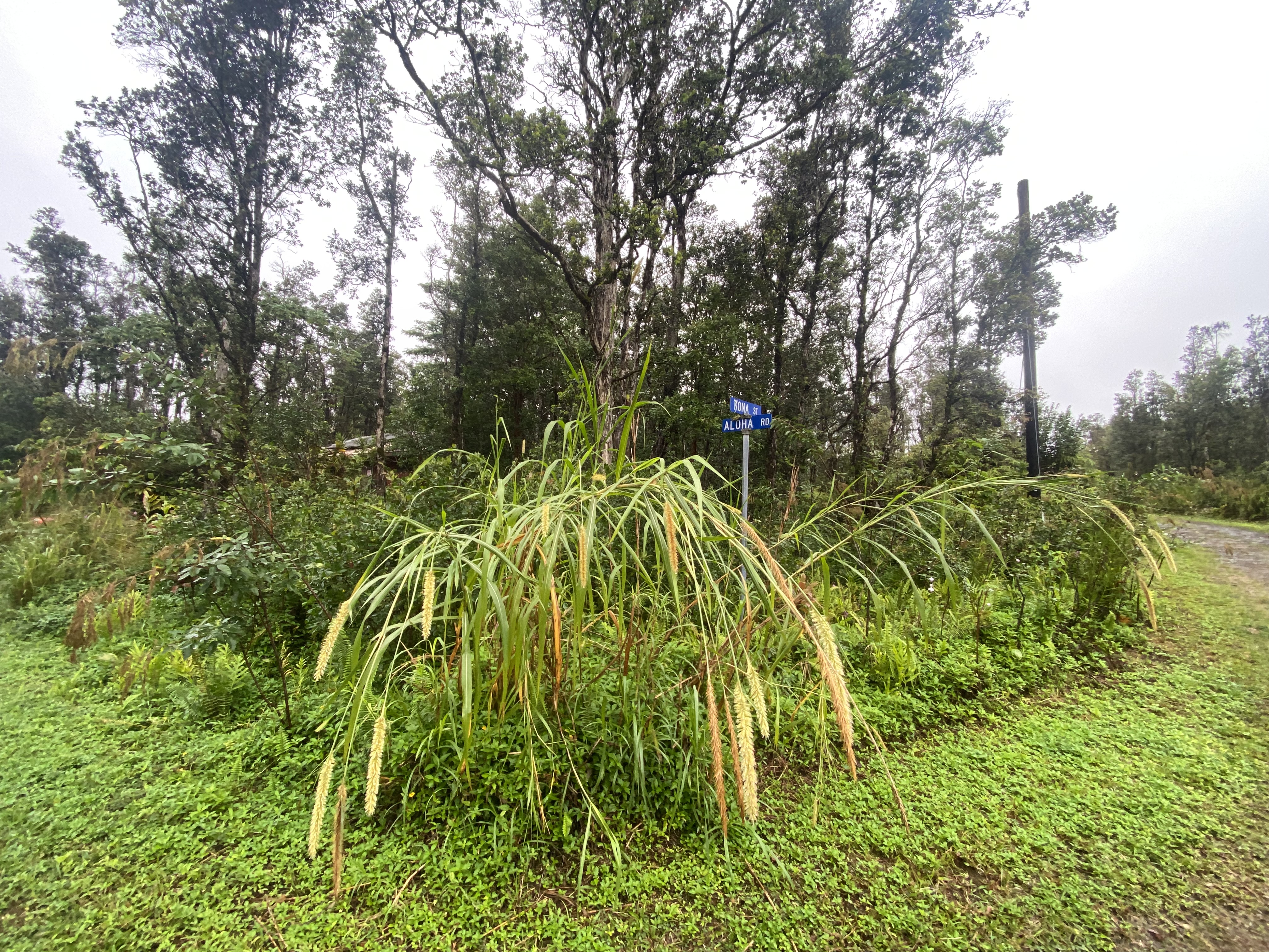 417 Aloha Road Pahoa, HI 96778 - Photo 6 of 16