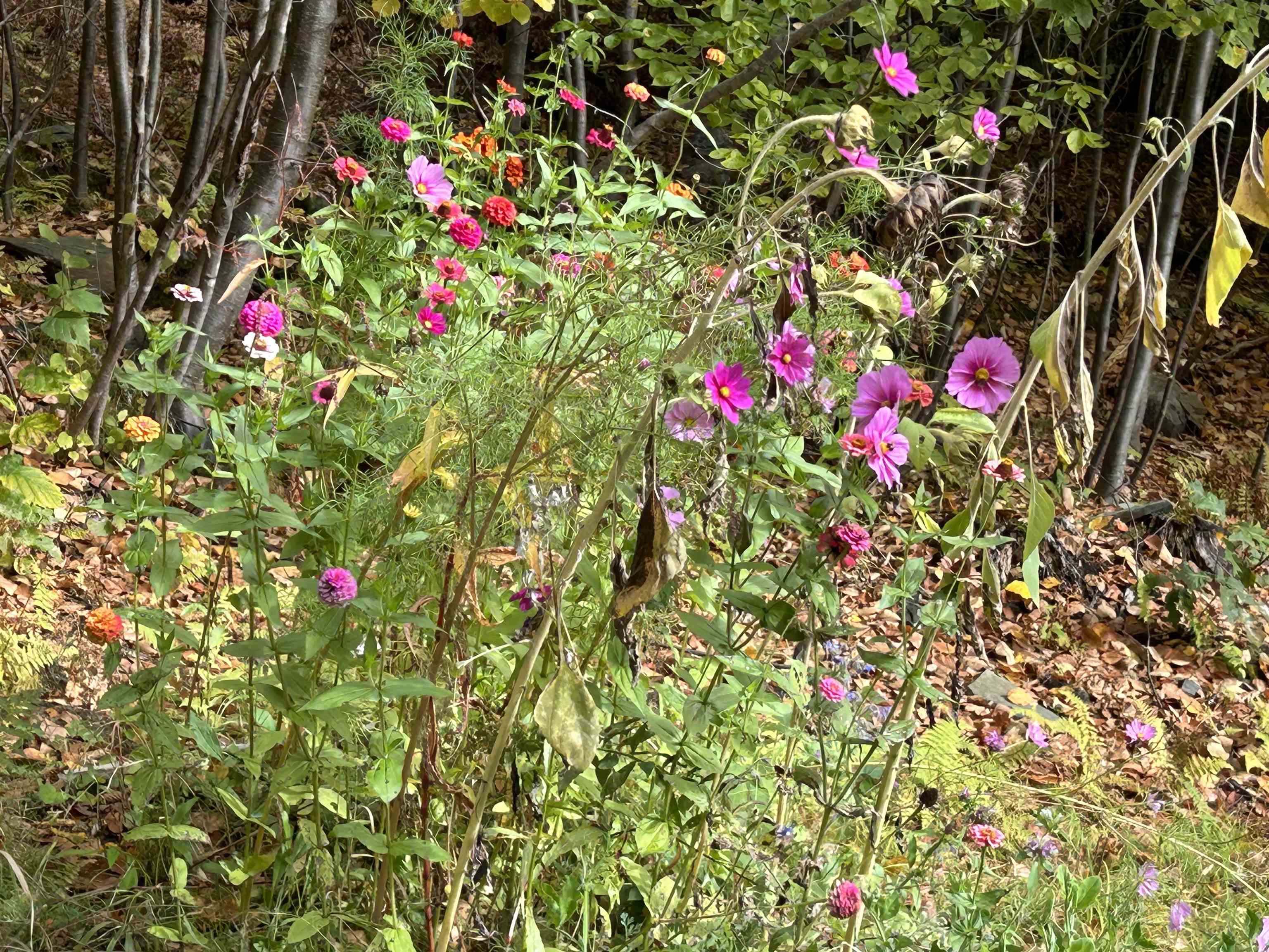 175 Sunset Rock Road Lebanon, NH 03766 - Photo 8 of 15