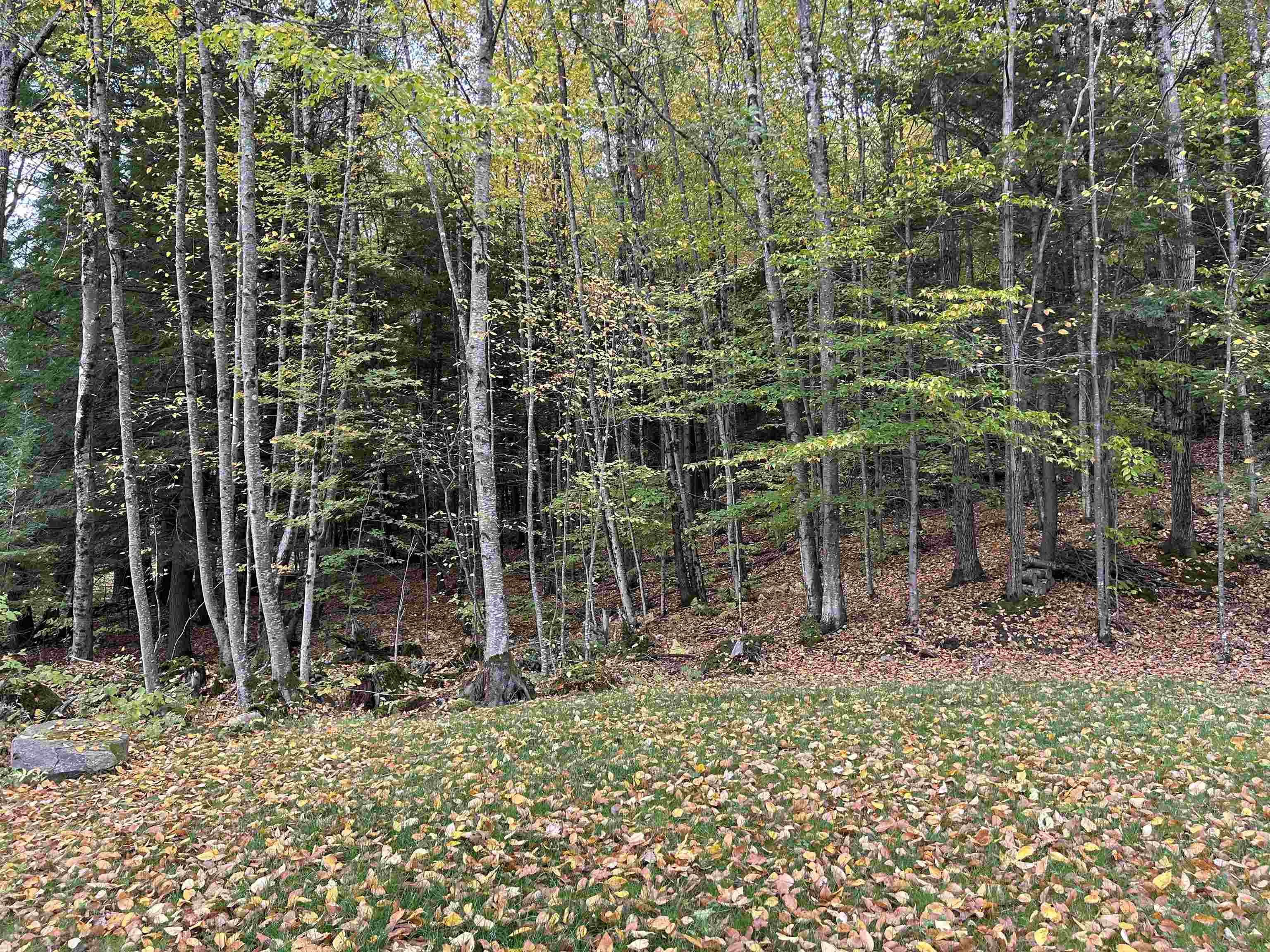 175 Sunset Rock Road Lebanon, NH 03766 - Photo 9 of 15