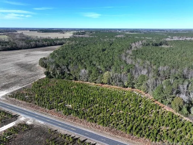 a view of a floor with a lush green forest
