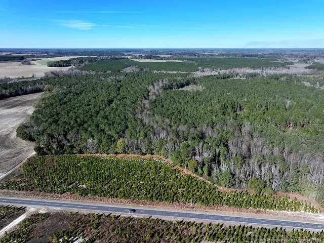 a view of a yard with an outdoor space