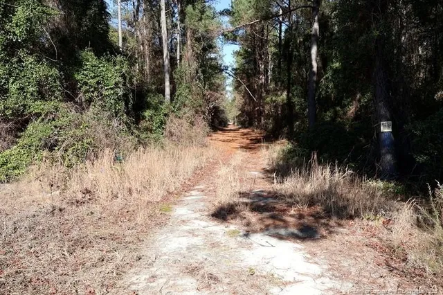 a view of outdoor space with trees